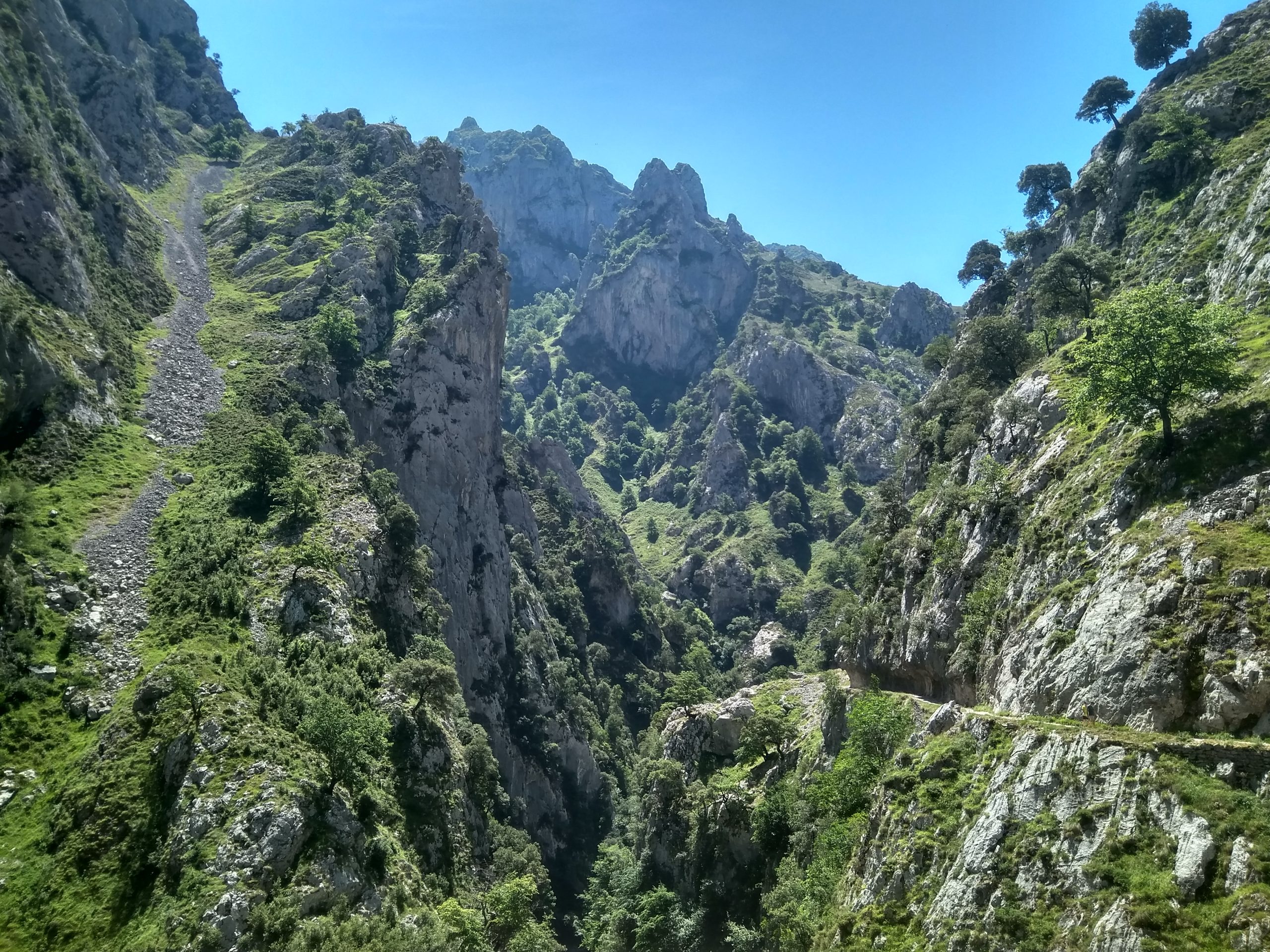 IMG_20190715_132625_HDR