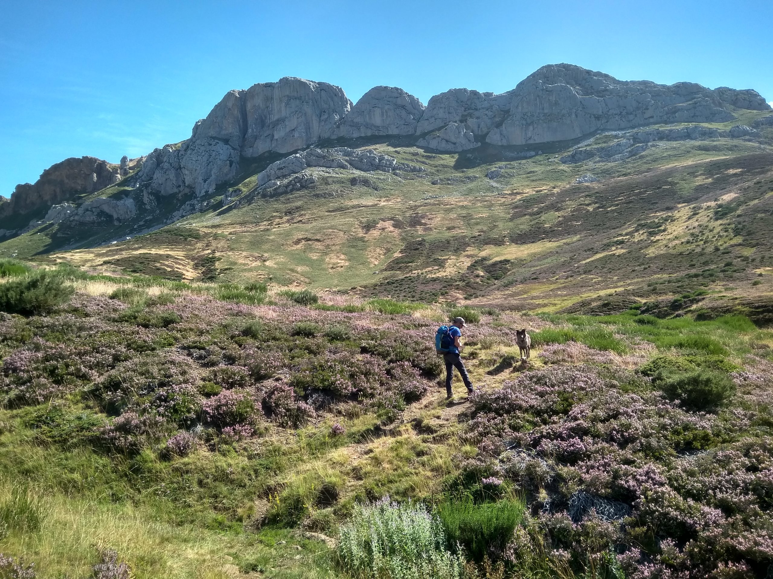 IMG_20190810_113603_HDR